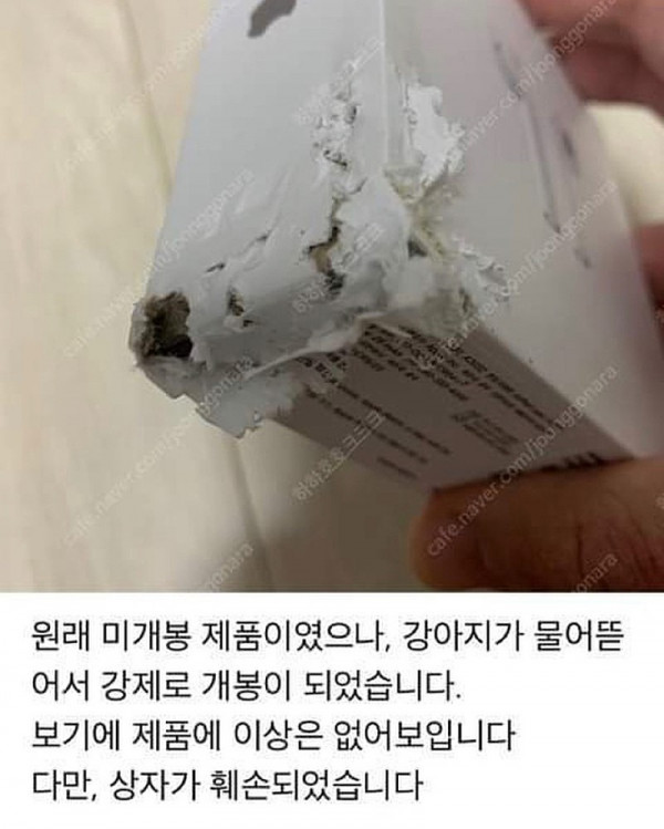 de91efbfbff3890cc872f67d6a077af1_1593525