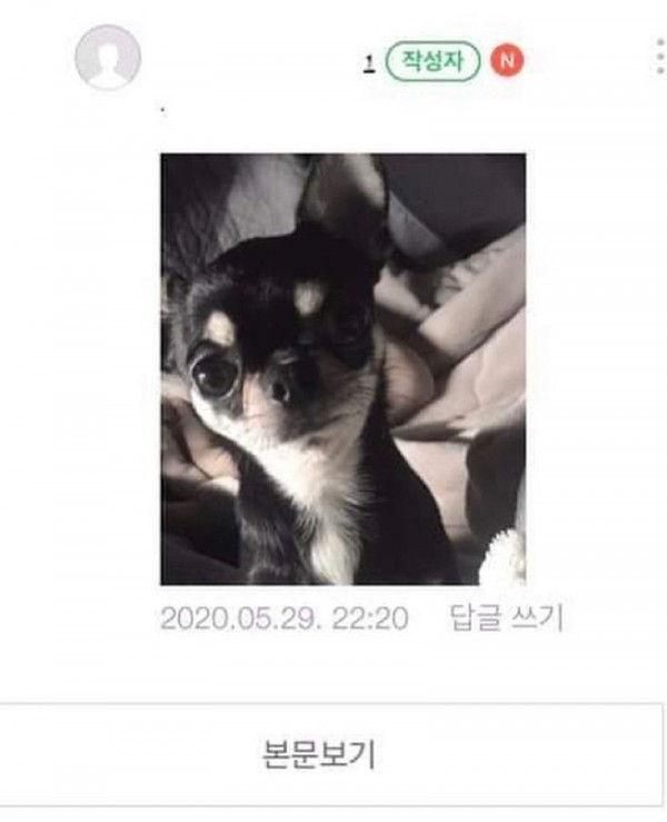 de91efbfbff3890cc872f67d6a077af1_1593525