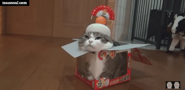 16c7098a8bfe9f573df1cc728f2c4a68_1596700