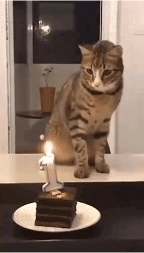 16c7098a8bfe9f573df1cc728f2c4a68_1596701