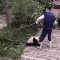 59808e3e0093c4c84fadde302280fc0a_1597296