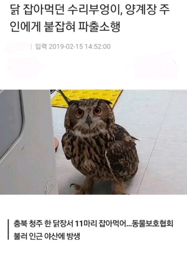 7436a9d08feb4958b96614083bc8e8b1_1596603