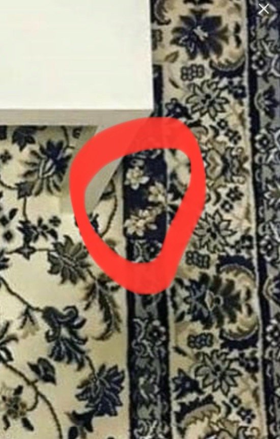 c585d68f261fa60a426e9b0818aed31e_1629186