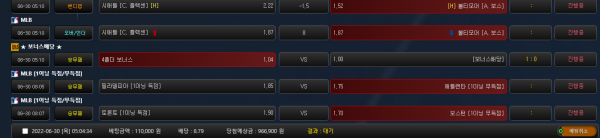 125ebc0adb32e18c2d74d17e53ad944a_1656533