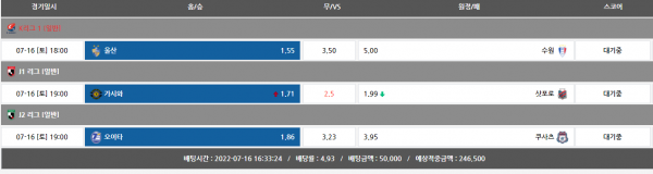 33dea75154d3b7cb1909f2fca6f504b2_1657956