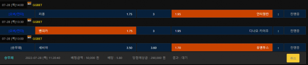 3d8a6bcd1469de89854cfaccd433ead4_1658975