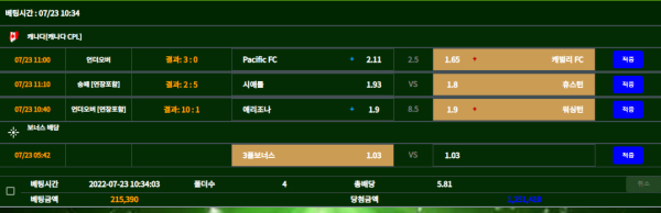 48ee9c8b556da67c70d335a31f438a6b_1658556