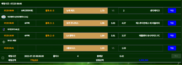 892a6c6ce7dc2acbba1740ad7211b649_1658732