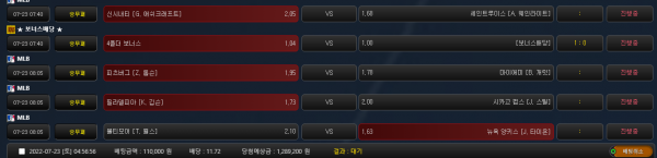 8a2537638dcefe96818c52a5184c0a69_1658519