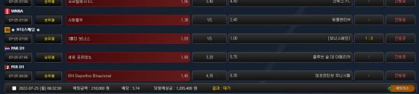 dcc44e9b15ed7dc40325ac8982beac23_1658698