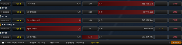 e8a49cfc800bdc9ce4221f14b827e89c_1658942