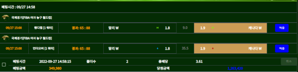 52c1439a72876c33222dc4bb2f43f203_1664288