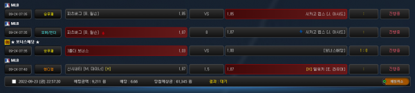 c338de4bffd5470edbdb3325e4003af6_1663941