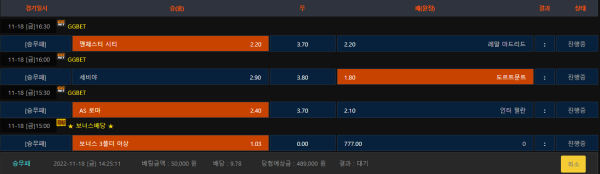 e239a0a6d47748357760c9763ce3d010_1668751