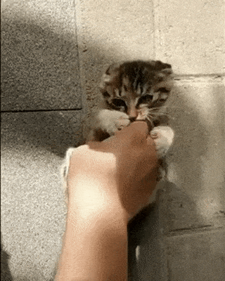 35ac93146dbcc64f4cd85b48814aee83_1674797