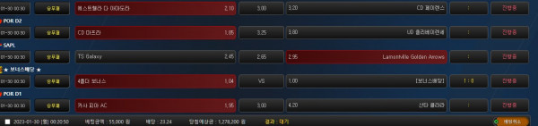 2504af3cbb4e4646c8eb5eabad135f73_1675005