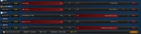 fbe35c66cf39042673ed1deca4a02d12_1675481